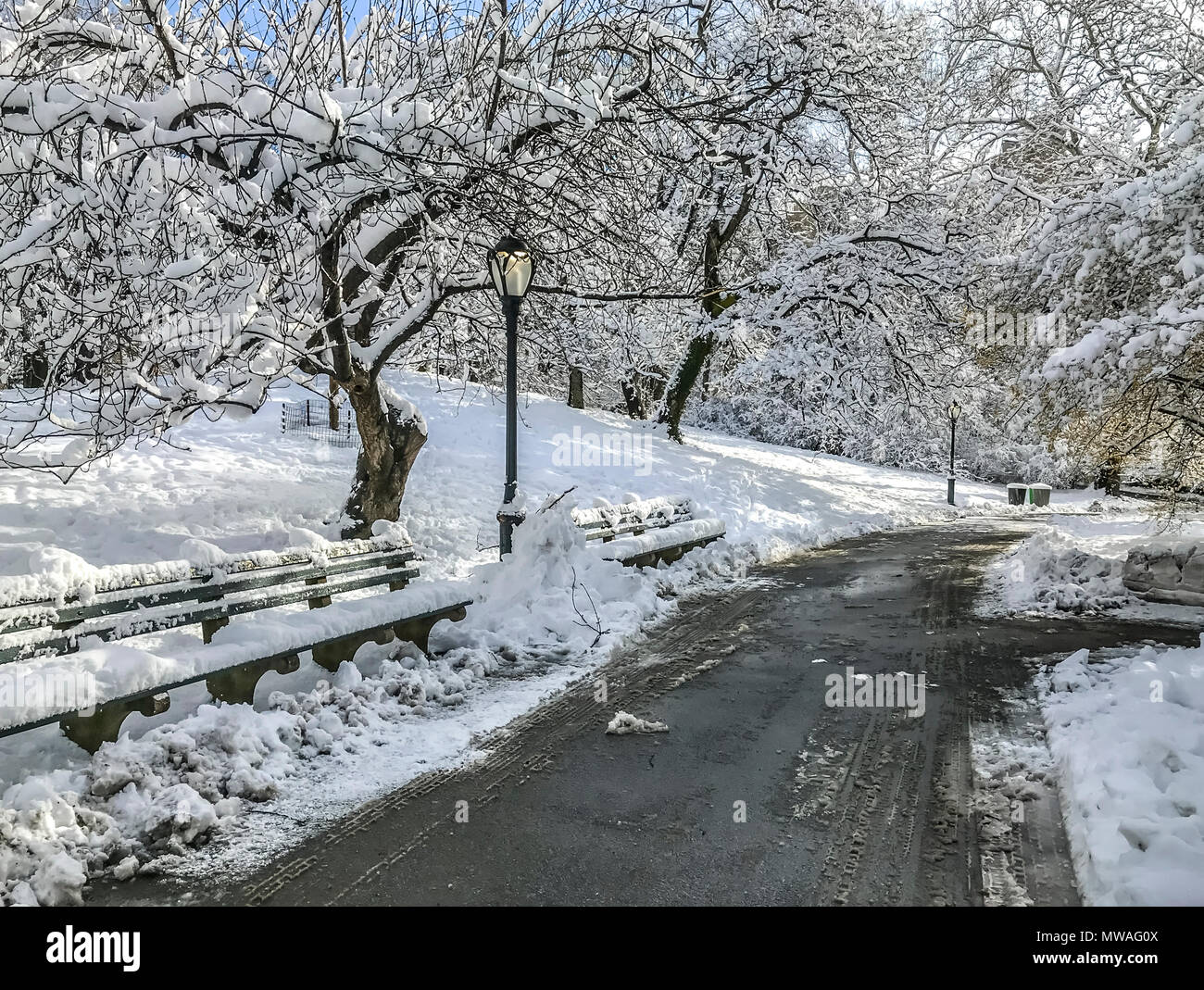 Central Park, New York City after winter storm of snow Stock Photo - Alamy