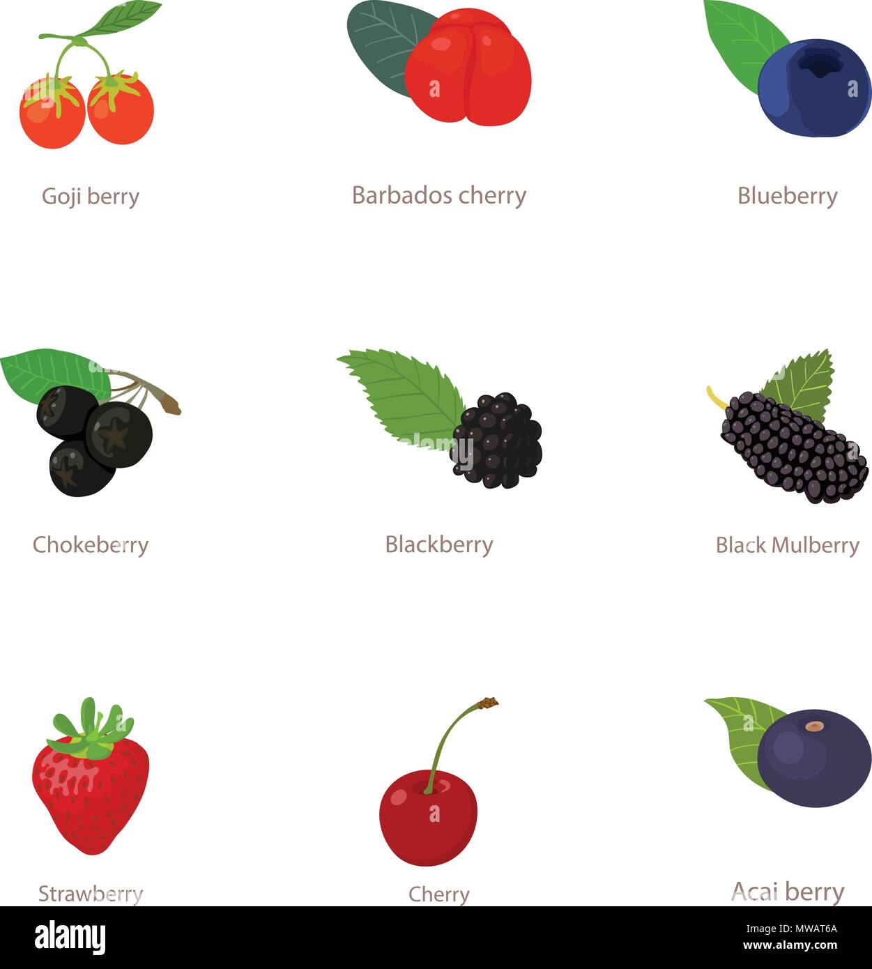 Fruit icons set, cartoon style Stock Vector Image & Art - Alamy