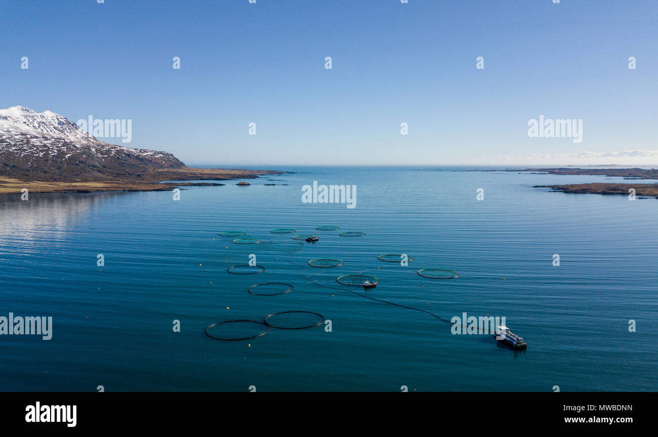 Aerial view, fish farming in large free-water nets in the sea, fjord, Iceland Stock Photo