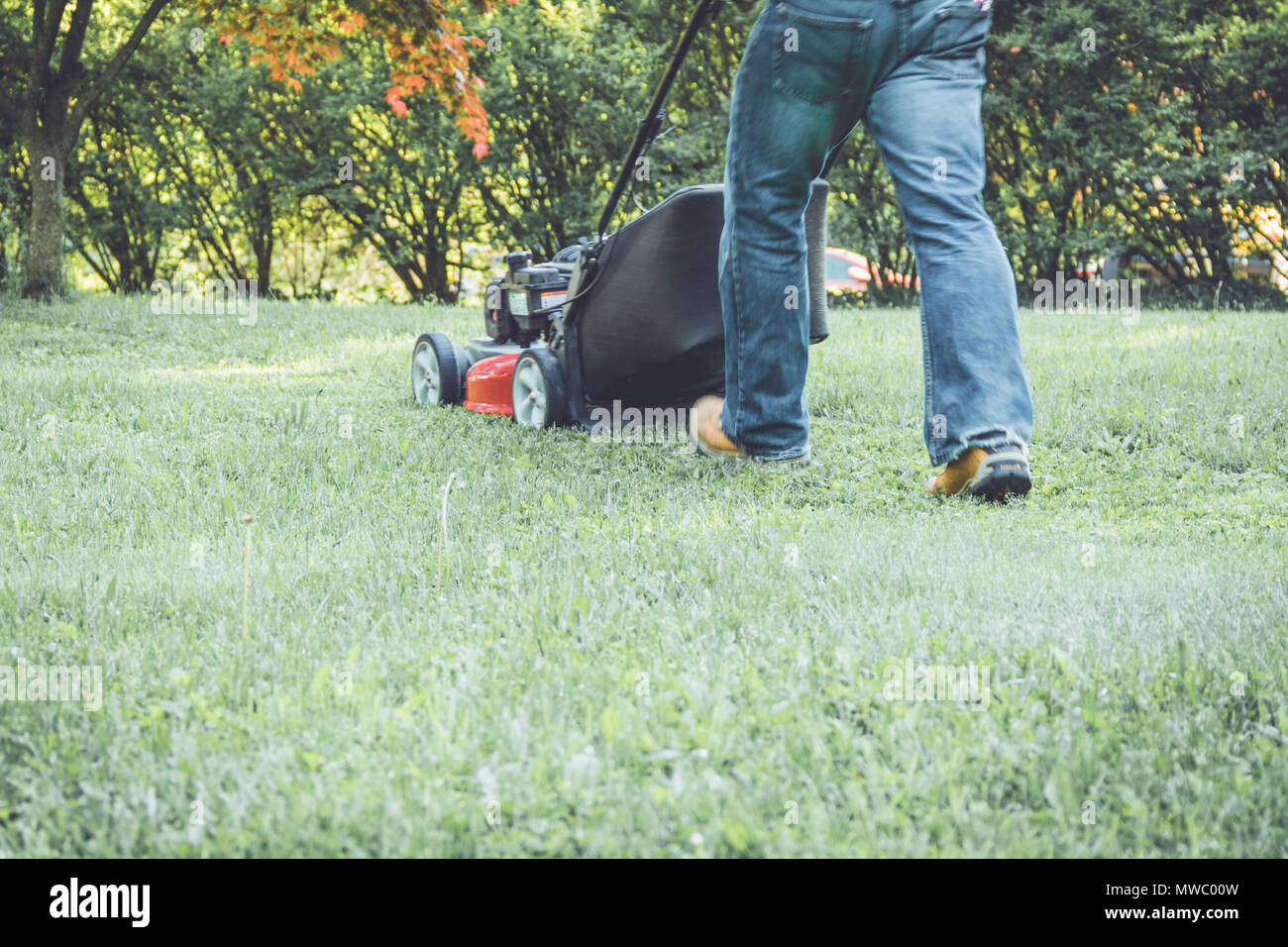 Red lawn mower cutting grass being pushed across a residential lawn by