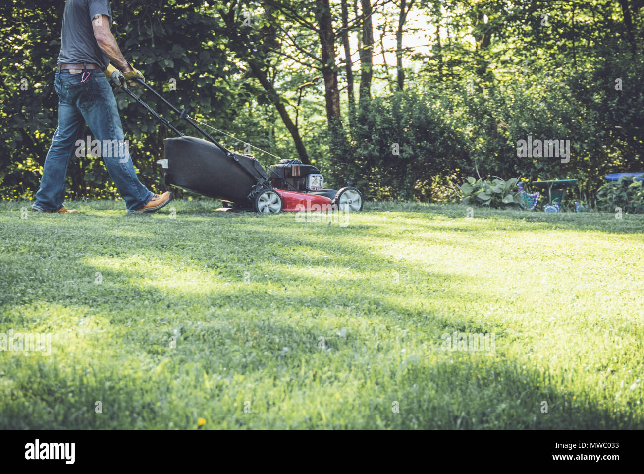 Red lawn mower cutting grass being pushed across a residential lawn by ...