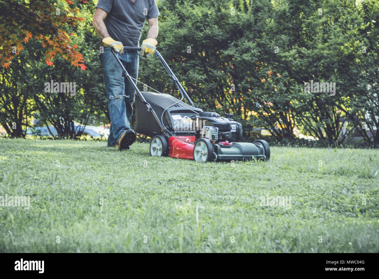 Red lawn mower cutting grass being pushed across a residential lawn by