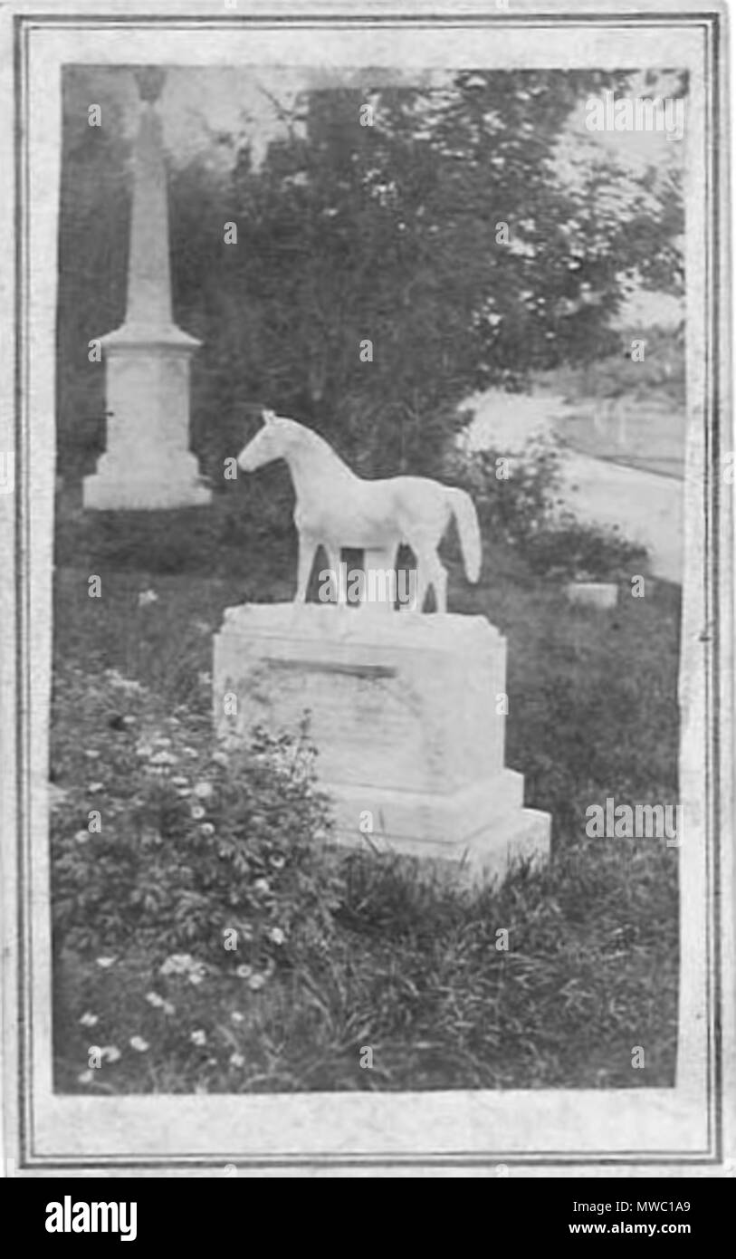 . carte de visite photograph by Augustine Folsom of Boston and Roxbury. 19th century. Folsom 252 Graveyard by Augustine Folsom cdv Stock Photo