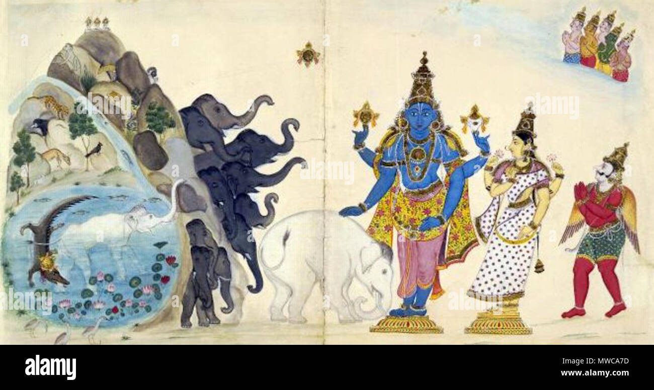. English: 'Painting on paper depicting the story of Gajendra, the king of the elephants. The left page is occupied by a dramatic mountain landscape with rugged boulders and forests inhabited by all kinds of animals. On the tallest peak the three kalashas of a temple are visible. A large stream filled with aquatic life feeds a lake in which a fierce crocodile with his fangs firmly planted in Gajendra's leg drags him into the depths. The distress of the elephant, raising his trunk towards the sky while invoking Viṣṇu, contrasts with the idyllic surroundings: the lotus flowers dotting the lake a Stock Photo