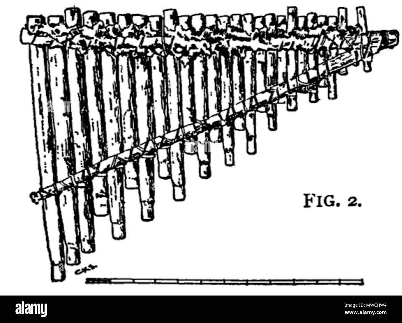 . Fig. 2 Arab Pan's-Pipes or Syrinx . 1907. Waldo Selden Pratt 604 THOM Arab Pan's-Pipes Stock Photo