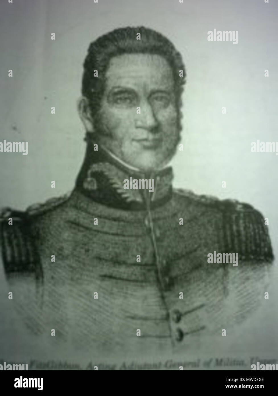 . Painting of middle-aged James Fitgibbon in his military dress uniform. Ima . 1825. Ruth McKezie 209 Fitzgibbon dress Stock Photo