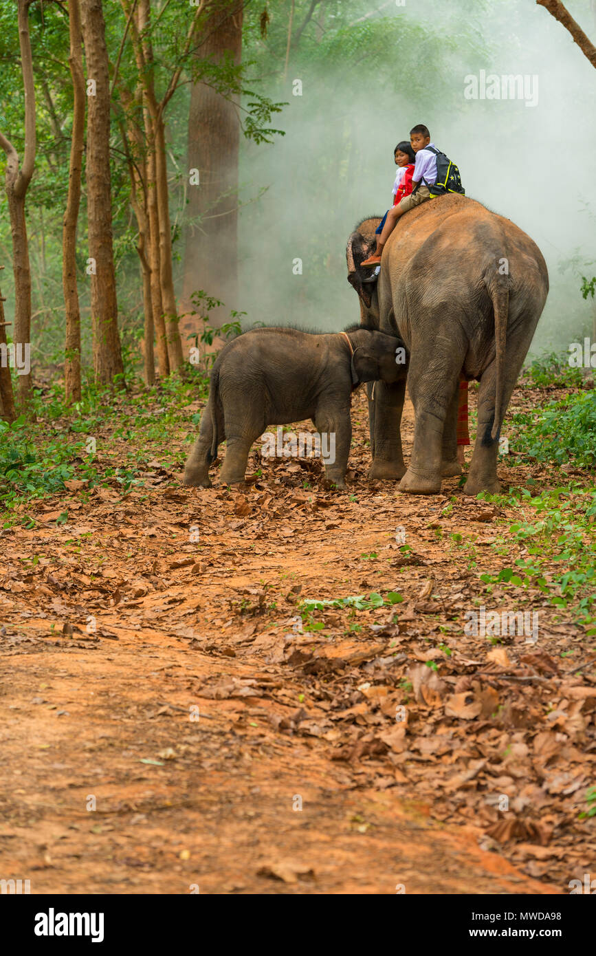 Girl riding an elephant hi-res stock photography and images - Alamy