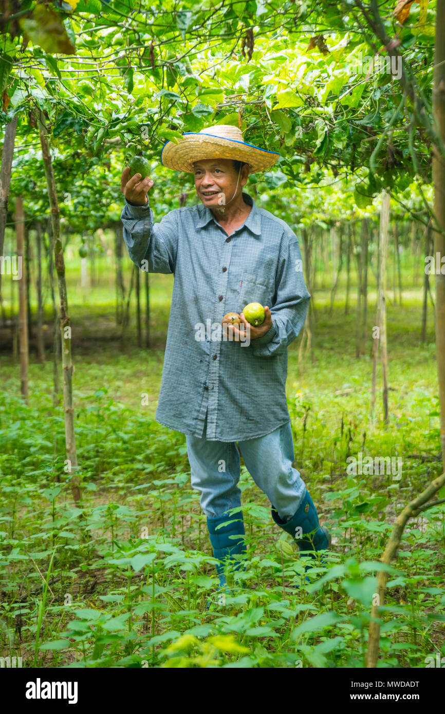 Farmer wearing hat hi-res stock photography and images - Alamy