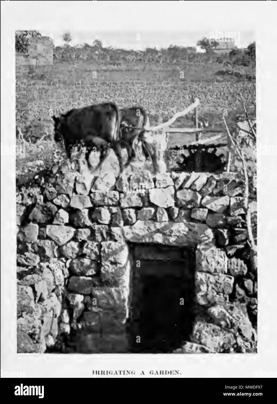 . English: Irrigation system Palestine 1913 . 1913. Goodrich-Freer, A. (Ada) 299 Irigation system palestine 1913 Stock Photo
