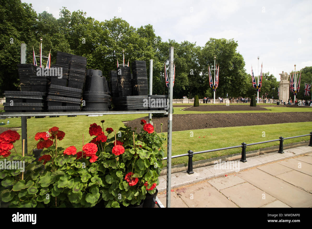 London UK. 1st June 2018. Gardeners plant red geranium flowers in the flower beds opposite Buckingham Palace in preparation for Trooping the colour ceremony to celebrate the Queens Birthday on 9th June Credit: amer ghazzal/Alamy Live News Stock Photo