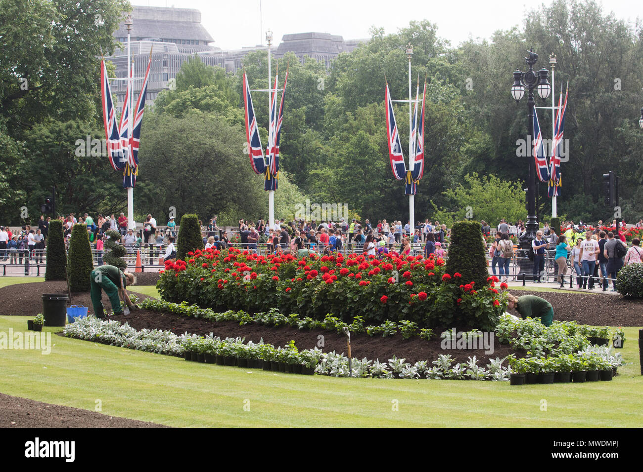 London UK. 1st June 2018. Gardeners plant red geranium flowers in the flower beds opposite Buckingham Palace in preparation for Trooping the colour ceremony to celebrate the Queens Birthday on 9th June Credit: amer ghazzal/Alamy Live News Stock Photo