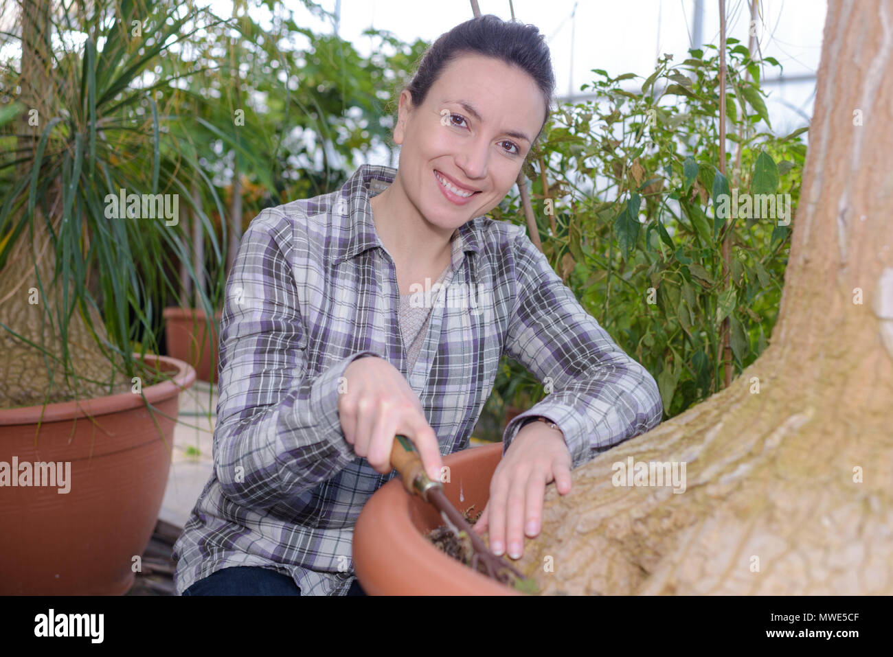 Female gardener checking plants hi-res stock photography and images - Alamy