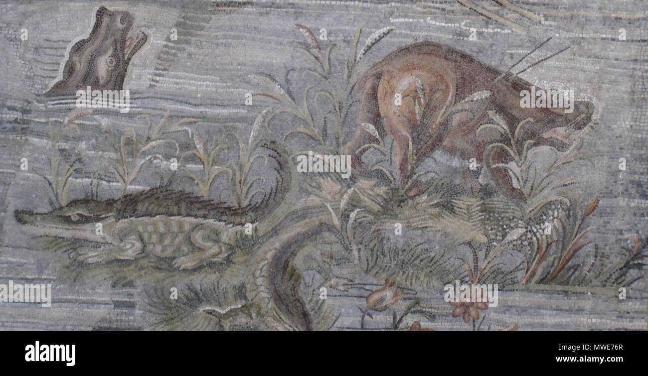 . English: Detail of the Nile Mosaic of Palestrina showing hippos and crocodiles among the reeds and waters of the Nile. end of 2nd century BCE. Unknown 279 Hippos and Crocs among Reeds in Nile River Mosaic Stock Photo