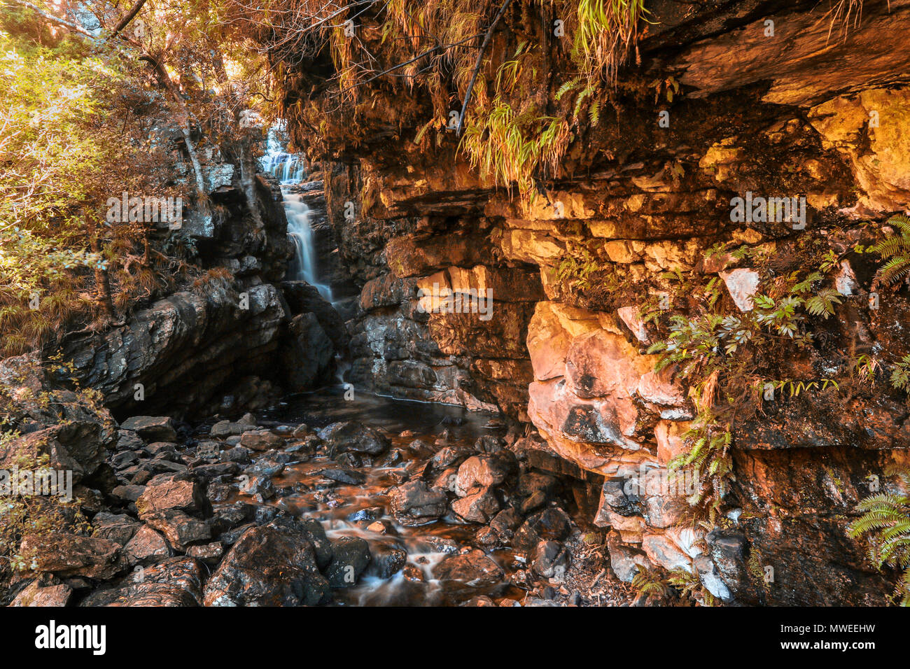 Rock Formation And Cascade In The Lower Waterfall Cave Jonkershoek rock-formation-and-cascade-in-the-lower-waterfall-cave-jonkershoek