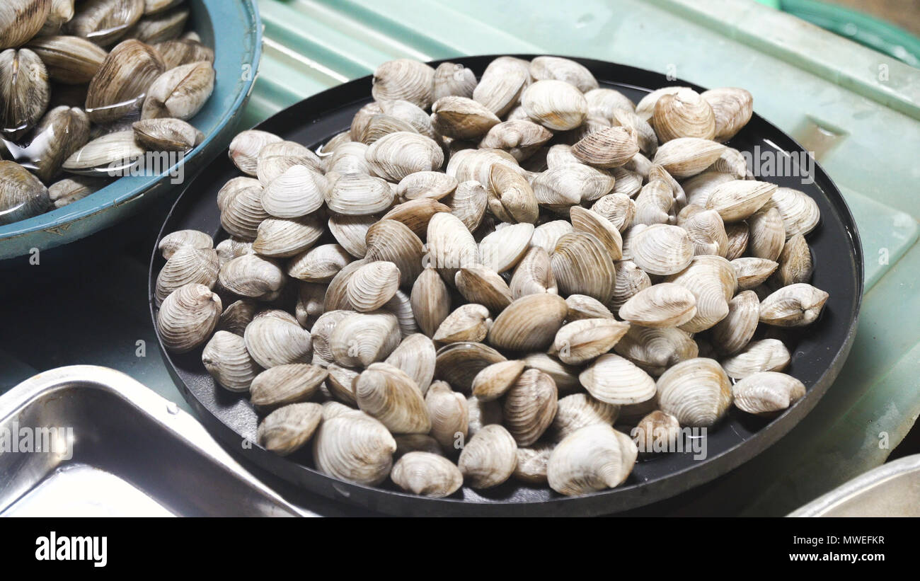 Fresh Clams in Asian market. Sale of fresh Clams fish in the Asian