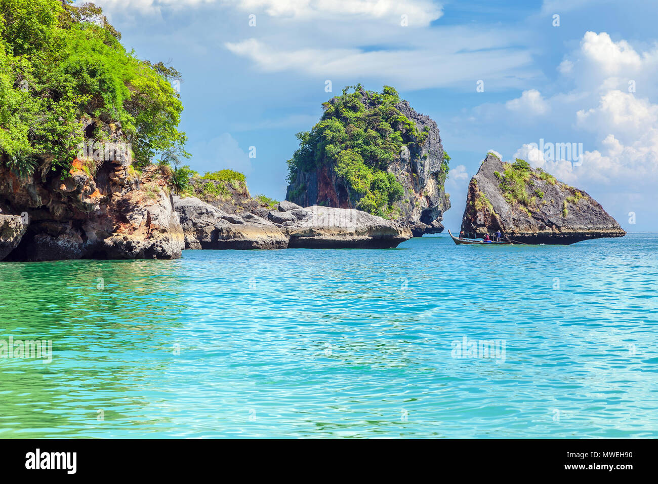 South thailand vegetation hi-res stock photography and images - Alamy