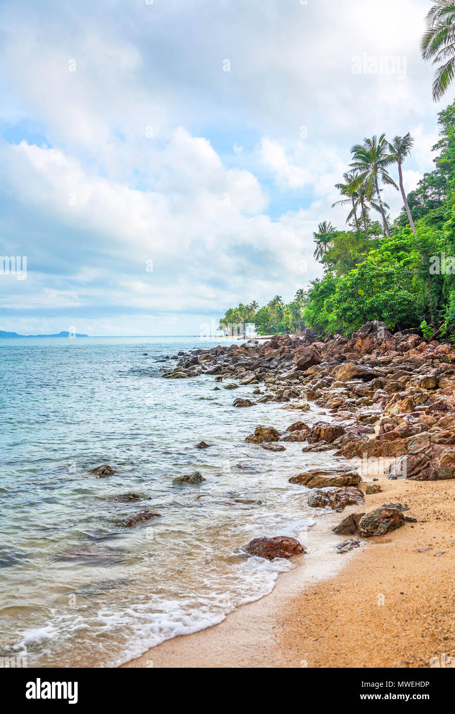 Ban Tai Beach on Koh Samui in Thailand Stock Photo Alamy
