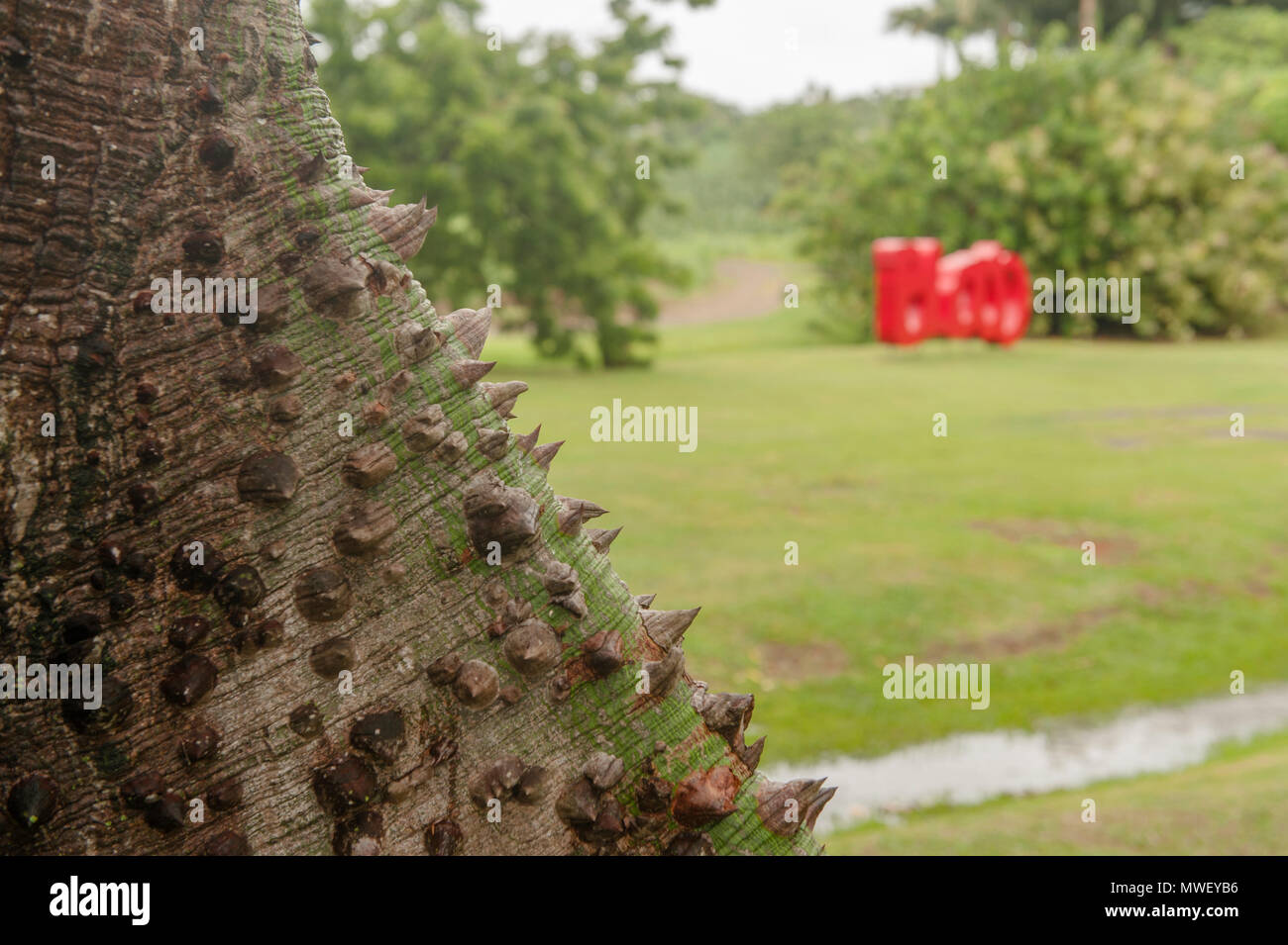 'Blood,' a sculpture by Thierry Alet at Habitation Clément, Martinique Stock Photo