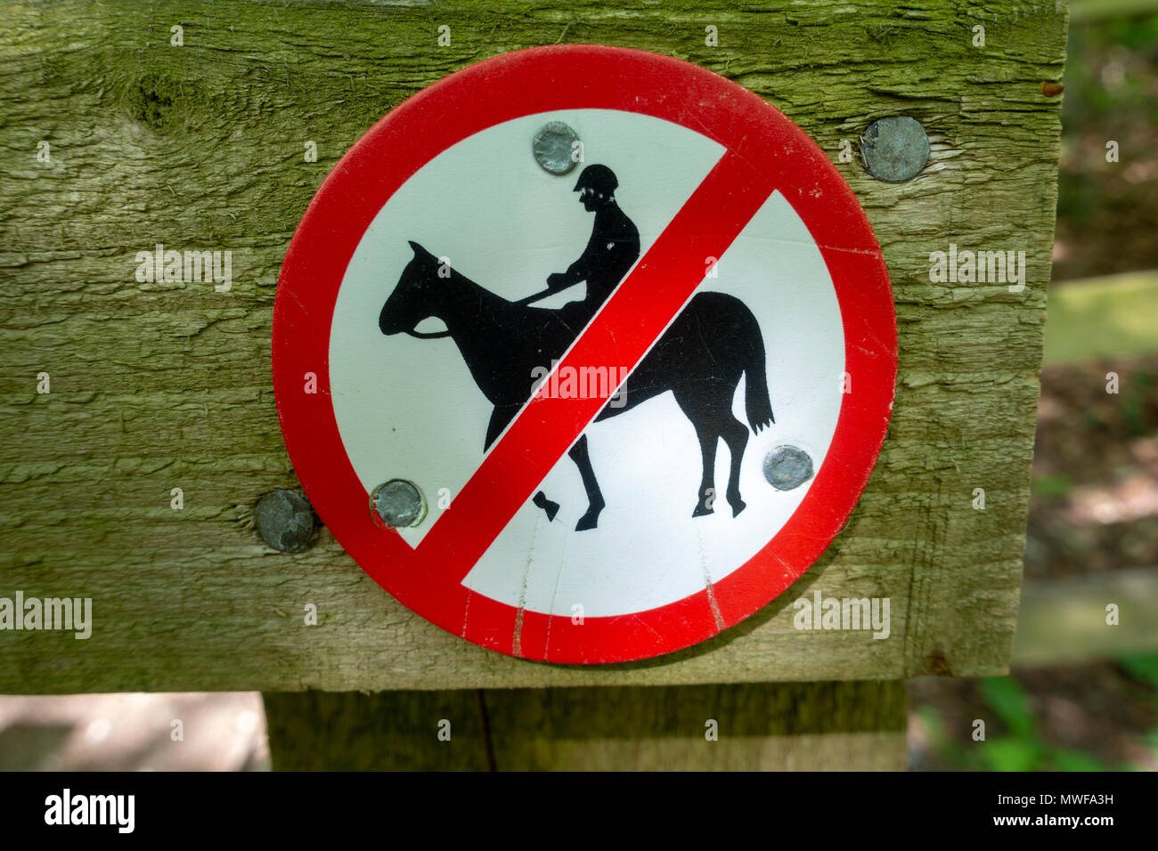 A sign indicting that horses are not allowed in the Chilterns area of natural beauty, UK Stock Photo