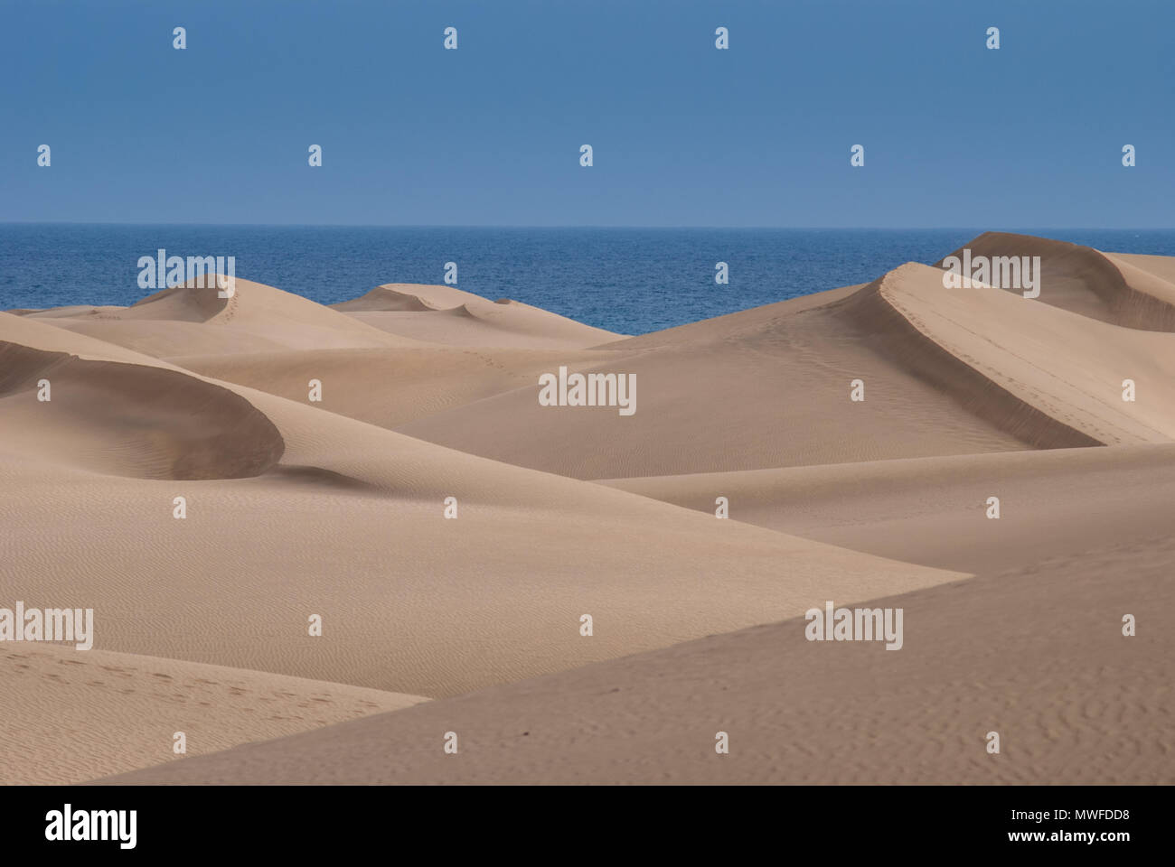 Dunes of Maspalomas with some footprints Stock Photo