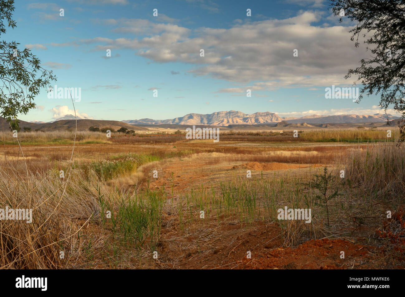 Oudtshoorn farmland landscape, garden route, south africa Stock Photo
