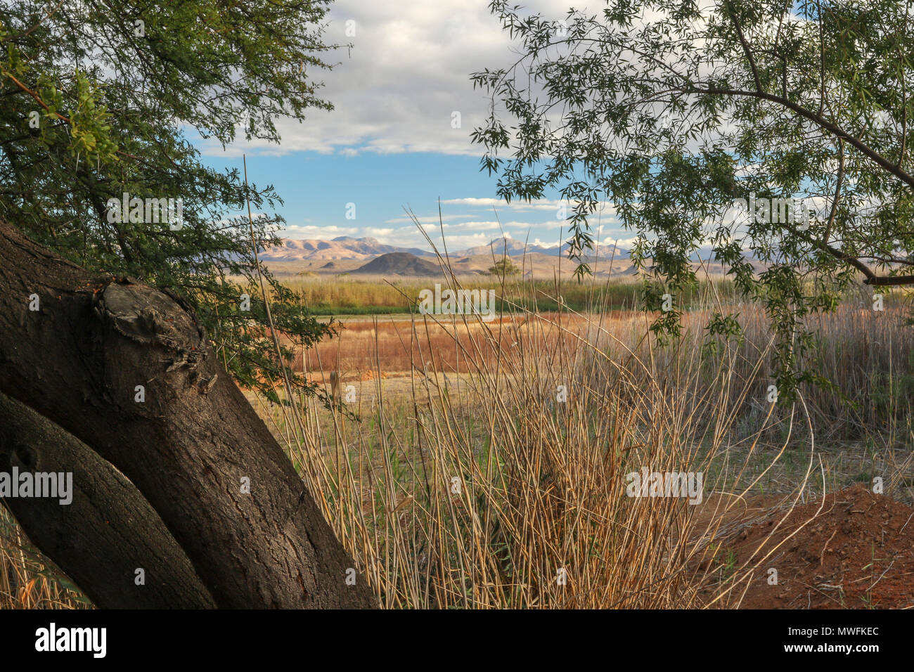 Oudtshoorn farmland landscape, garden route, south africa Stock Photo