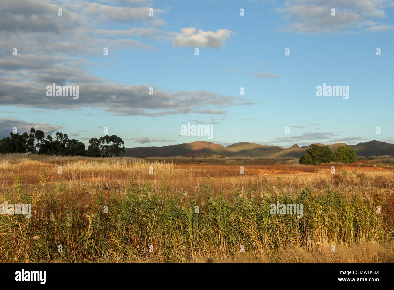 Oudtshoorn farmland landscape, garden route, south africa Stock Photo