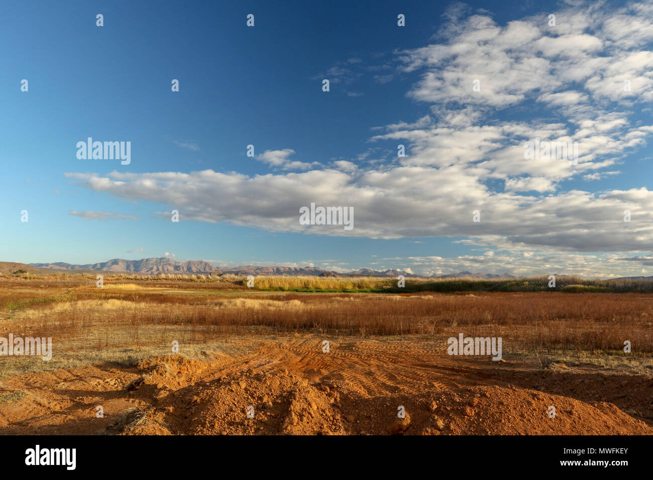 Striking Oudtshoorn landscape on the tourist garden route of south