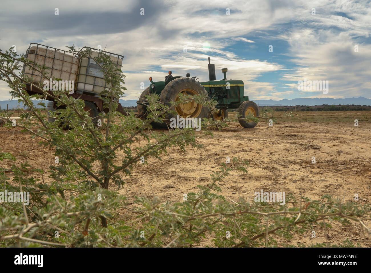 green tractor on farm through acacia bush in Oudtshoorn, on the garden route, south africa Stock Photo