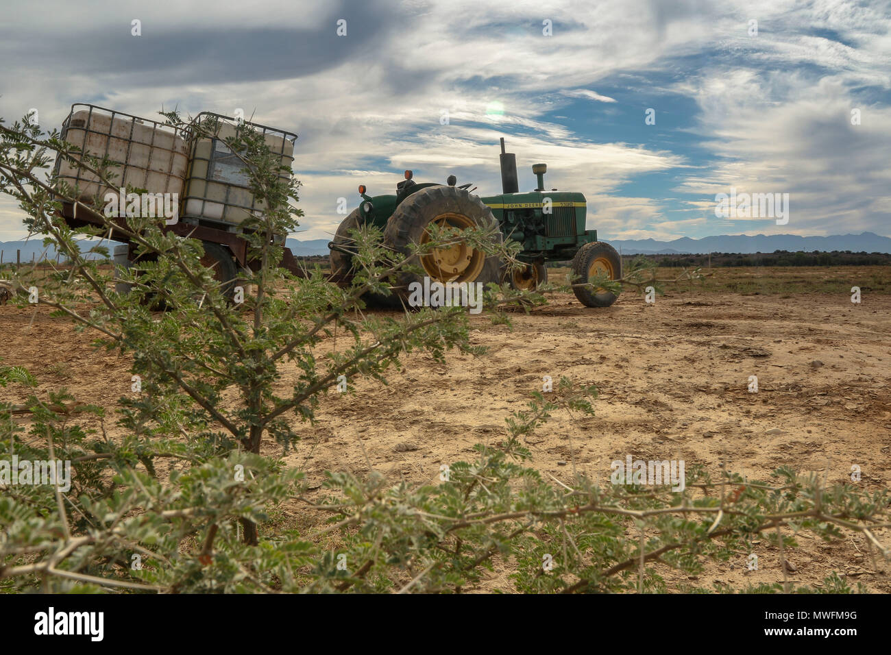 green tractor on farm through acacia bush in Oudtshoorn, on the garden route, south africa Stock Photo