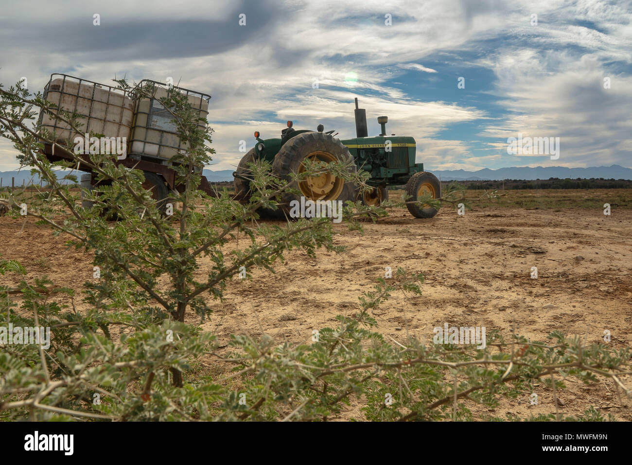 green tractor on farm through acacia bush in Oudtshoorn, on the garden