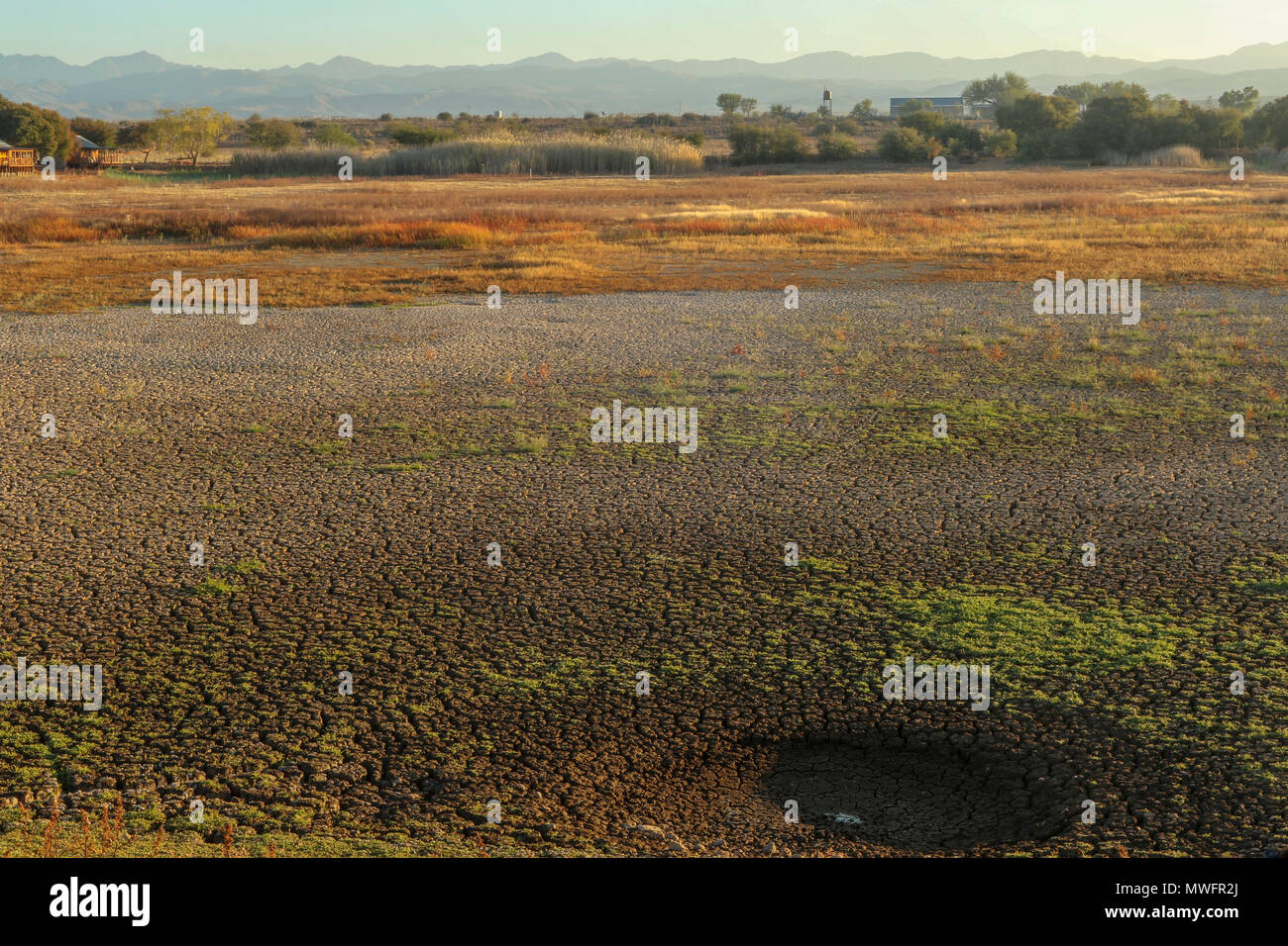 Garden route pond in the Oudtshoorn landscape, Oudtshoorn, Garden Route
