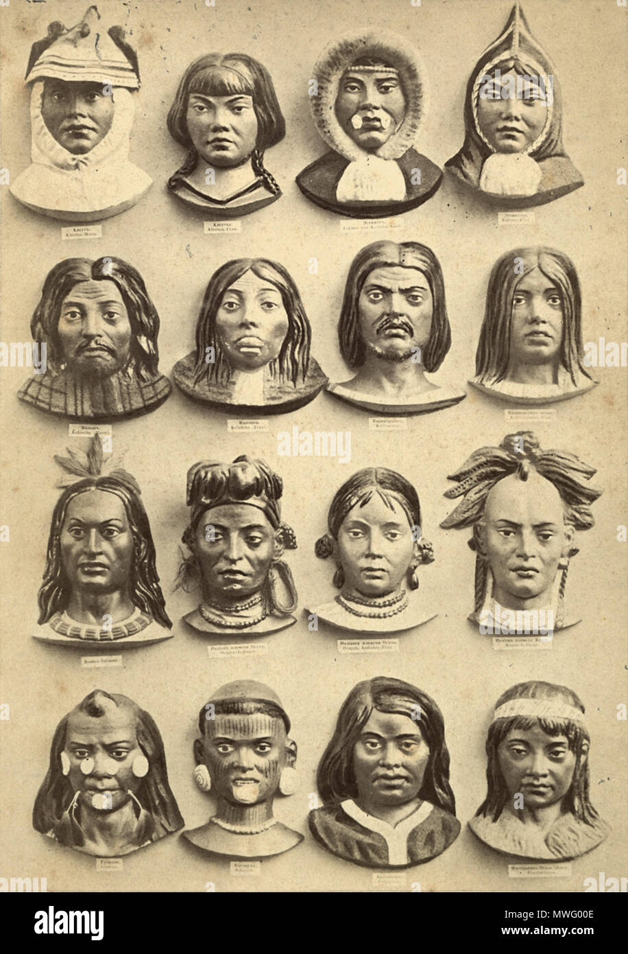 . Karl Ernst von Baer: 'Types Principaux des Differentes Races Humaines, dans les cinq parties du Monde' (Principal types of different human races in the five parts of the world). From a brochure with 4 p., 5 l. with 5 original albumen photographs. 23 x 16 cm (48 x 32 cm). St. Petersburg, German St. Petersbourg Times, 1862. 1862. Unknown (photographer) 335 Karl Ernst von Baer Types Principaux des Differents Race Humaines Stock Photo