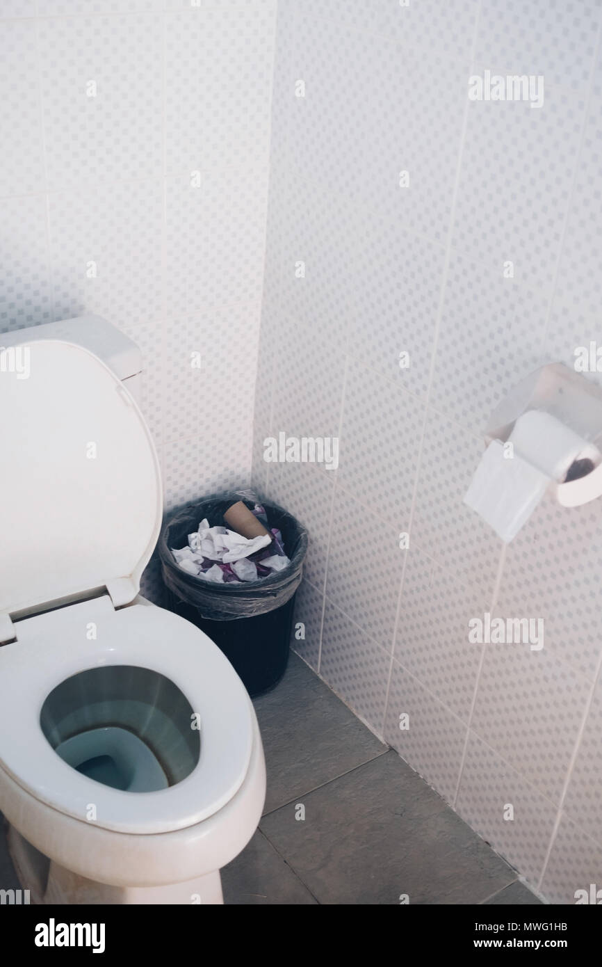 Bathroom interior with flush toilet and bin and toilet paper, Flush