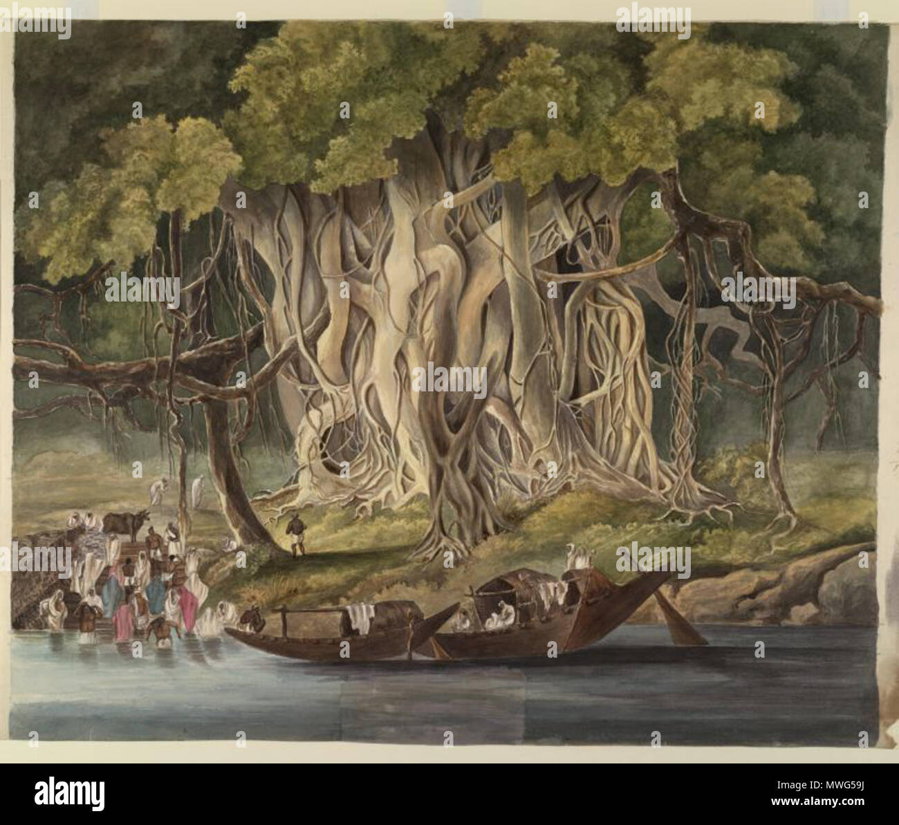 Landscape With Huge Banyan Tree Beside A River Country Boats And Villagers Bathing In Fore Ground C 1825 Watercolour 20 By 24 Ins Source Add Or 2525 Author Anon Stock Photo Alamy
