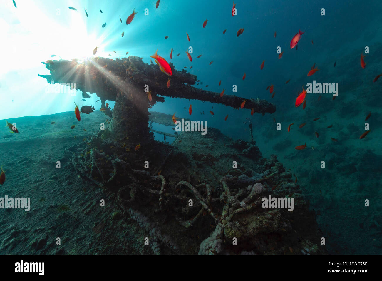 antiaircraft gun of ss thistlegorm in backlight Stock Photo