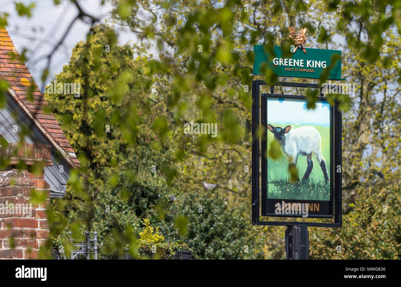 Sign for the Lamb Inn pub in the UK, one of the Greene King branches of public house. British pub sign. Stock Photo