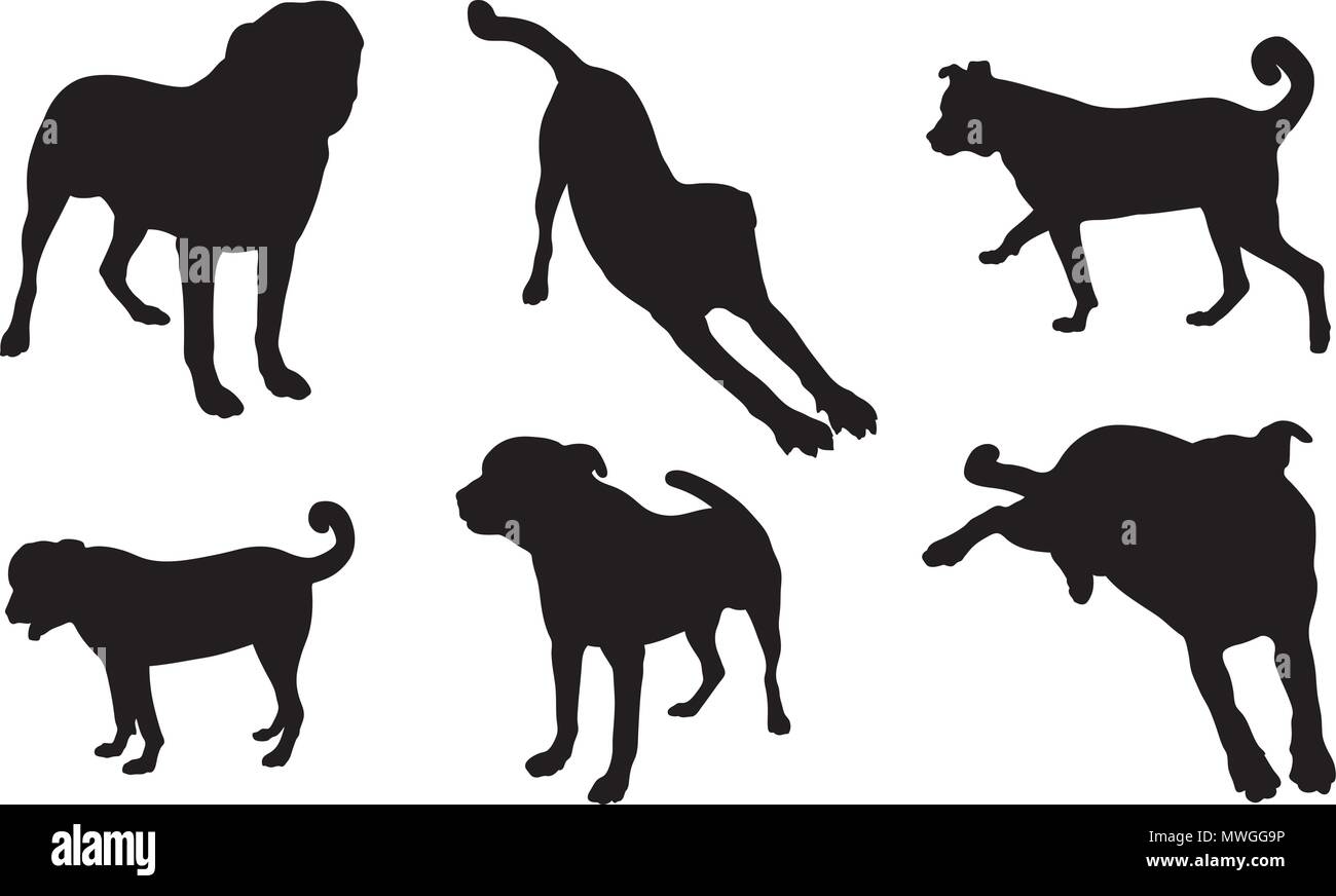 Set of different dog silhouettes isolated on white Stock Vector Image & Art  - Alamy