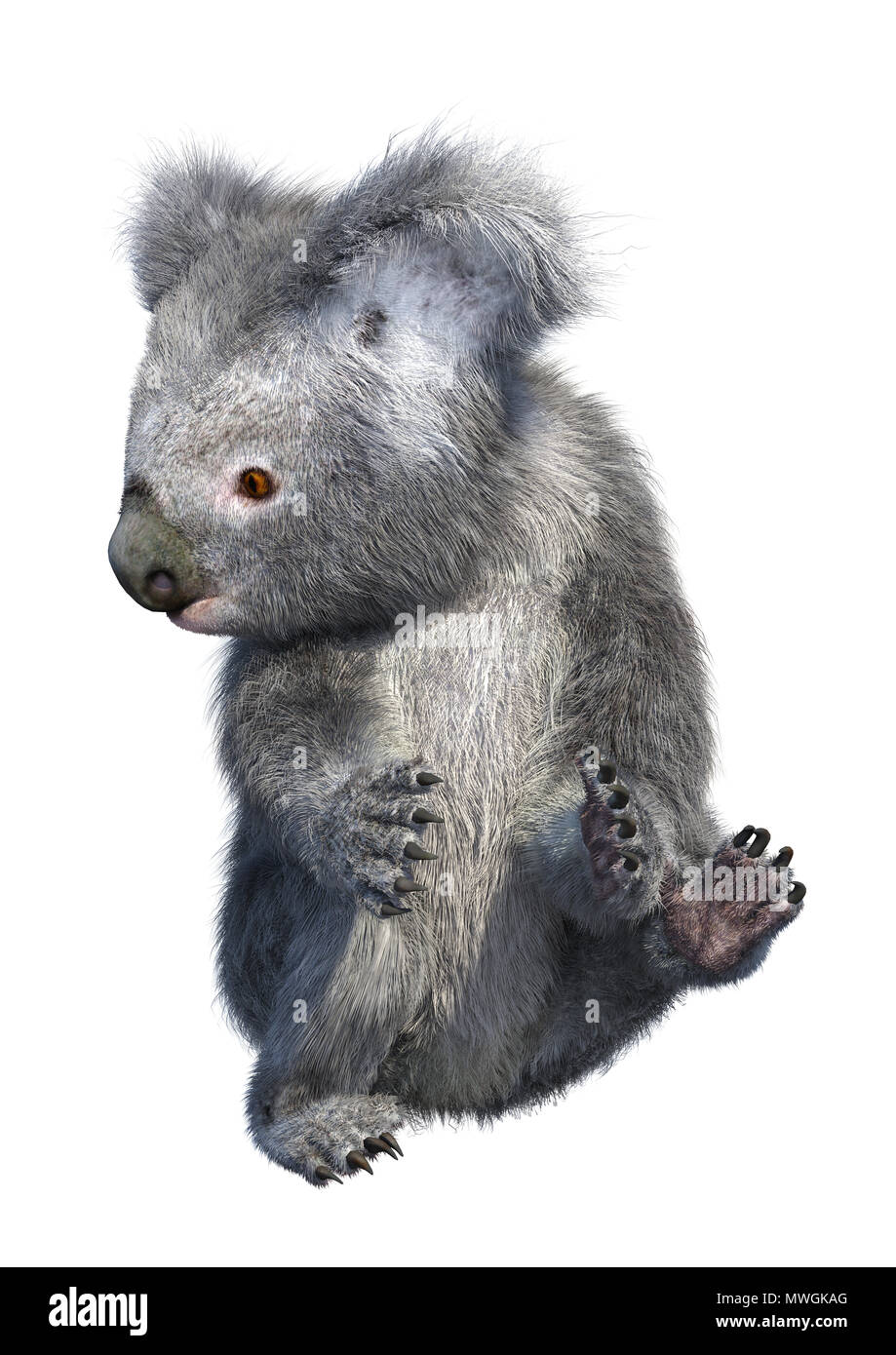 3D rendering of a cute koala bear isolated on white background Stock ...