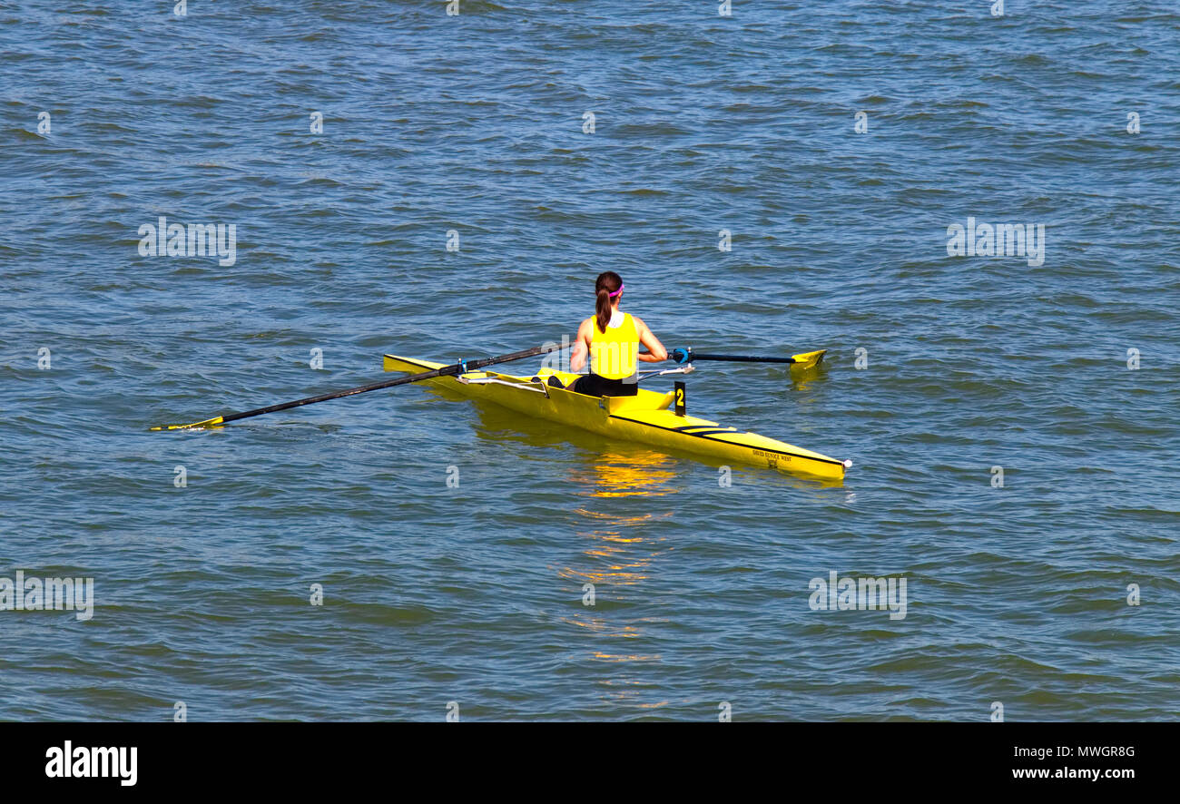 Single woman's scull at the Hastings rowing regatta Stock Photo
