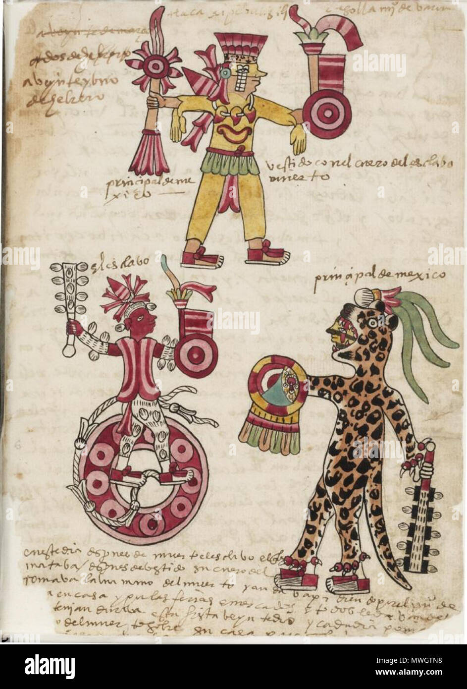 . English: Folio 12r of the Codex Tudela . between 1530 and 1554. José Tudela de la Orden 390 MAMF70400 SEQ 147 P Stock Photo