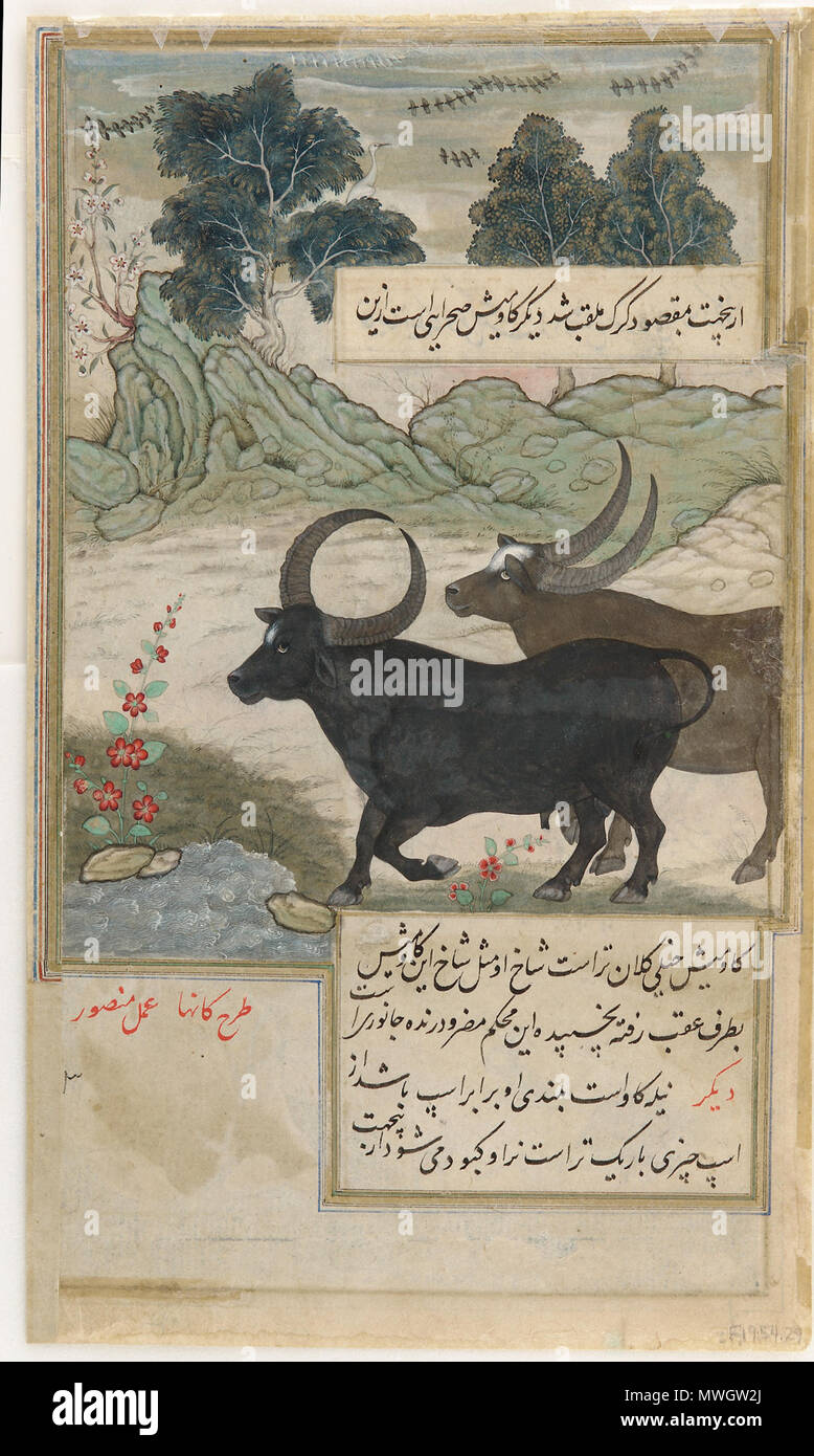 . English Illustration by Ustad Mansur, known as Nãdiral’Asr