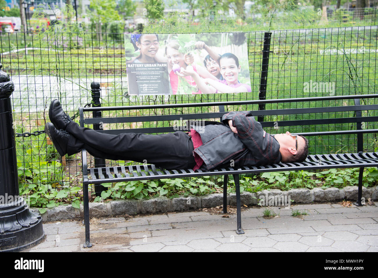 Street life a man takes a nap on a bench at Battery Park, New York, NY Stock Photo