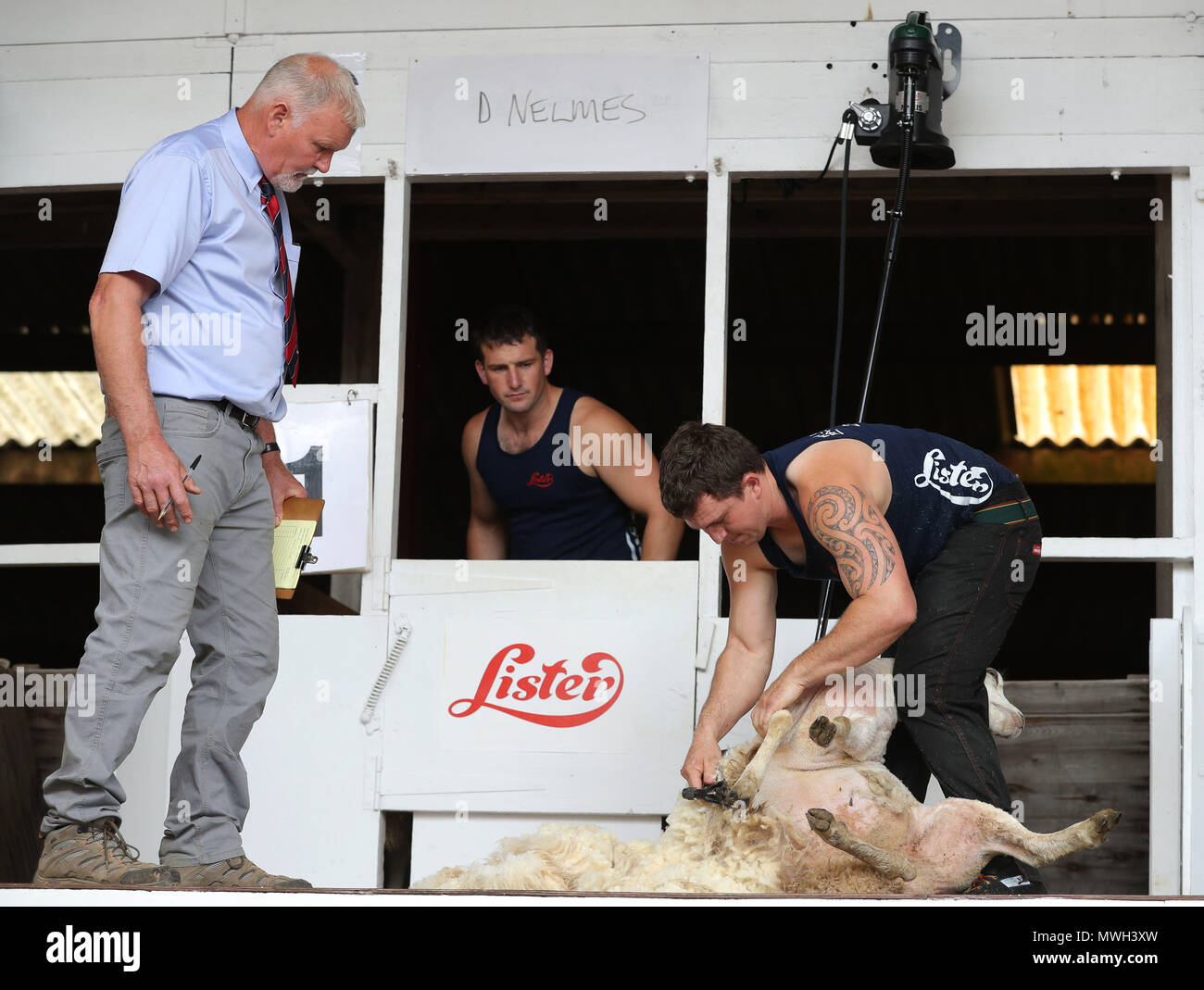 Dean Nelmes takes part in the first heat of the English National sheep shearing Championships during the Royal Bath and West Show at the Bath and West Showground near Shepton Mallet in Somerset. Stock Photo