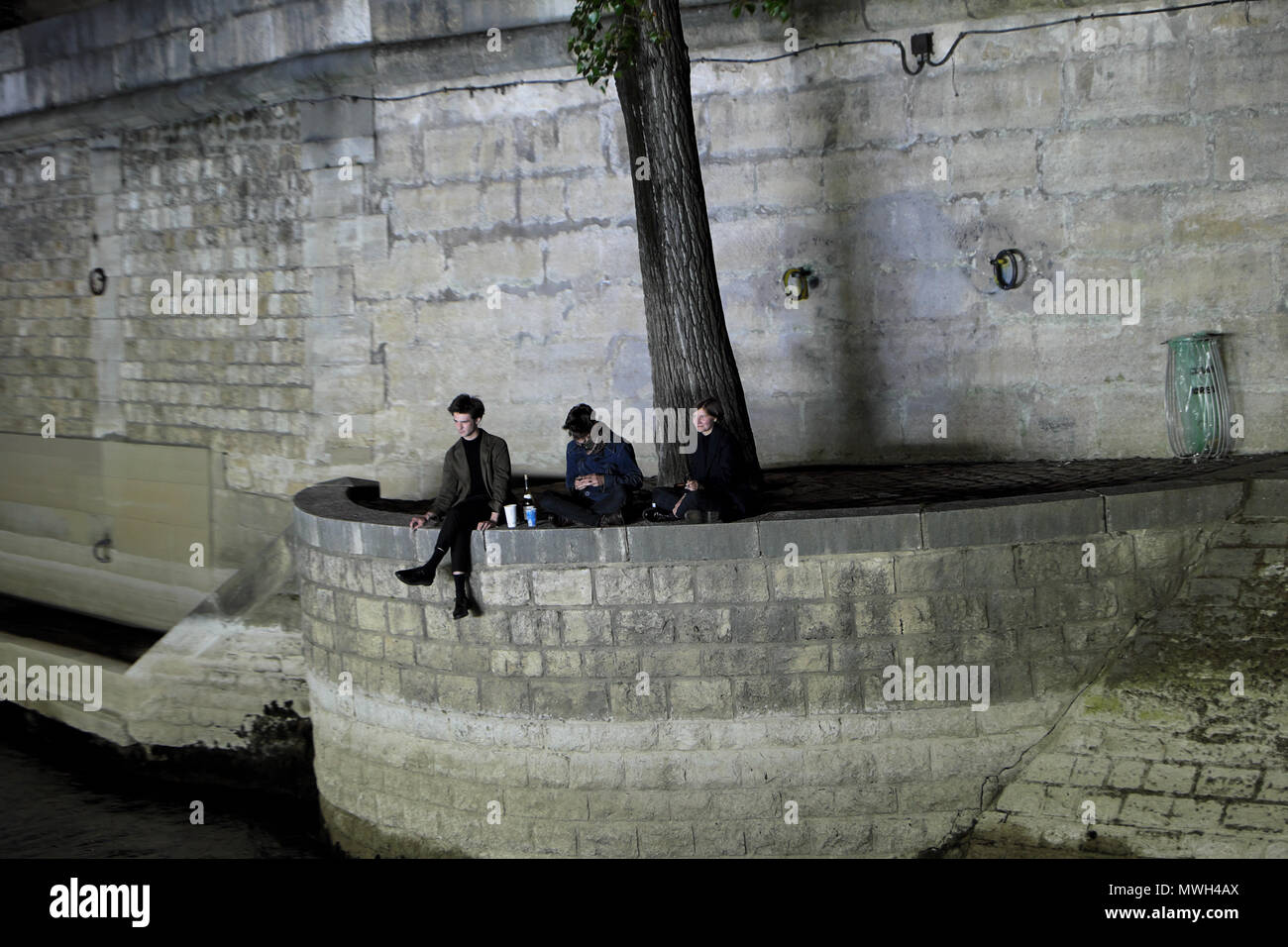 Trendy young people sitting on a stone wall with a bottle of wine by a tree along River Seine Left Bank on spring evening Paris France   KATHY DEWITT Stock Photo