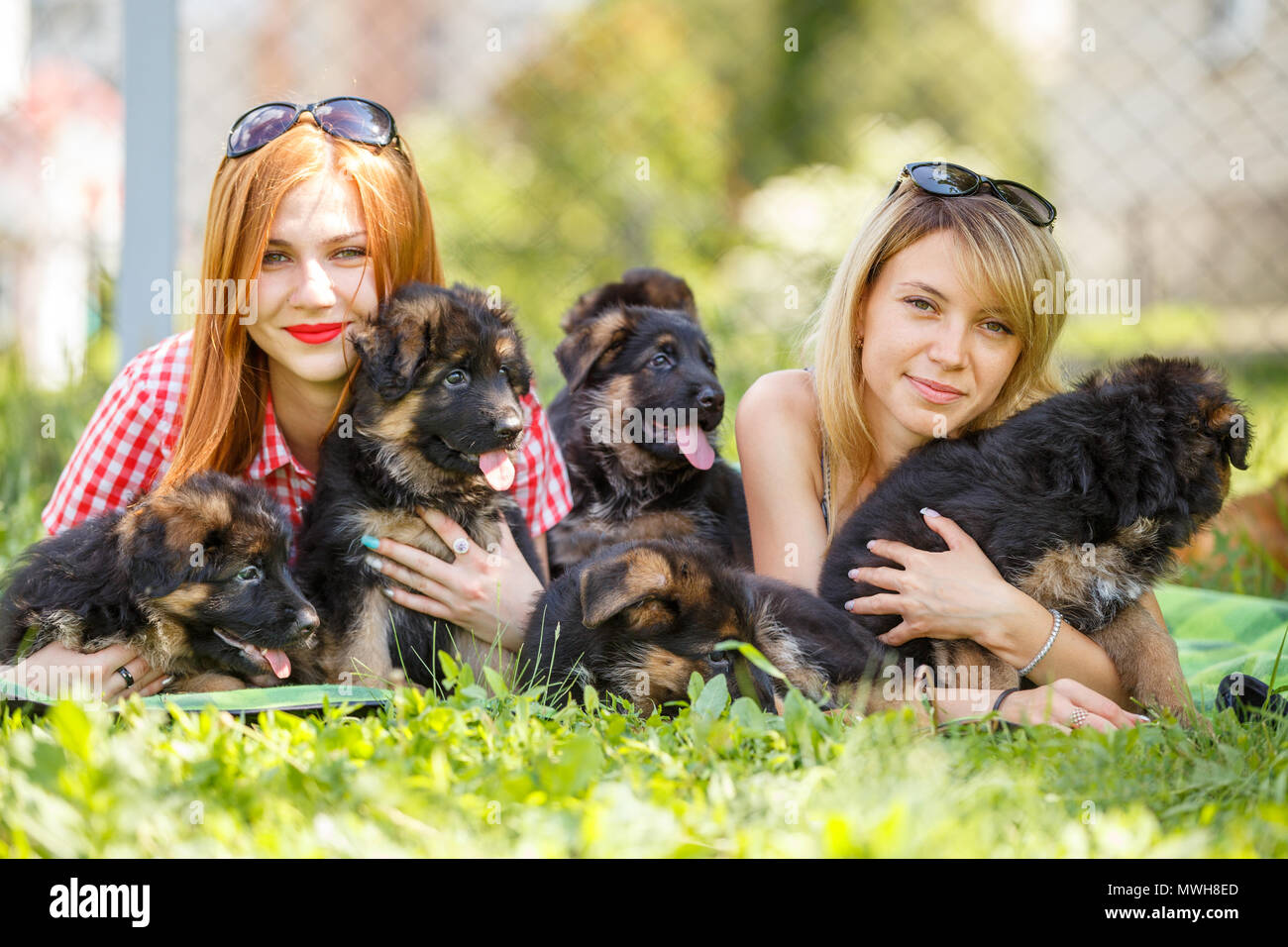 Two young smiling women lying on grass with small puppies of german shepherd Stock Photo