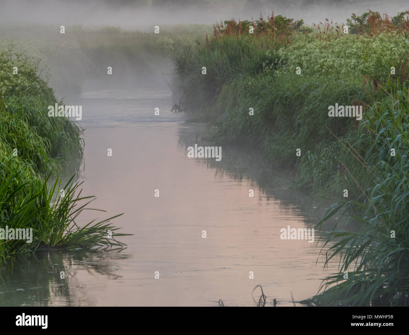 Foggy morning in countryside. Toczna River. Patkow. Podlasie. Podlachia. Poland, Europe. The region is called Podlasko or Podlasze Stock Photo