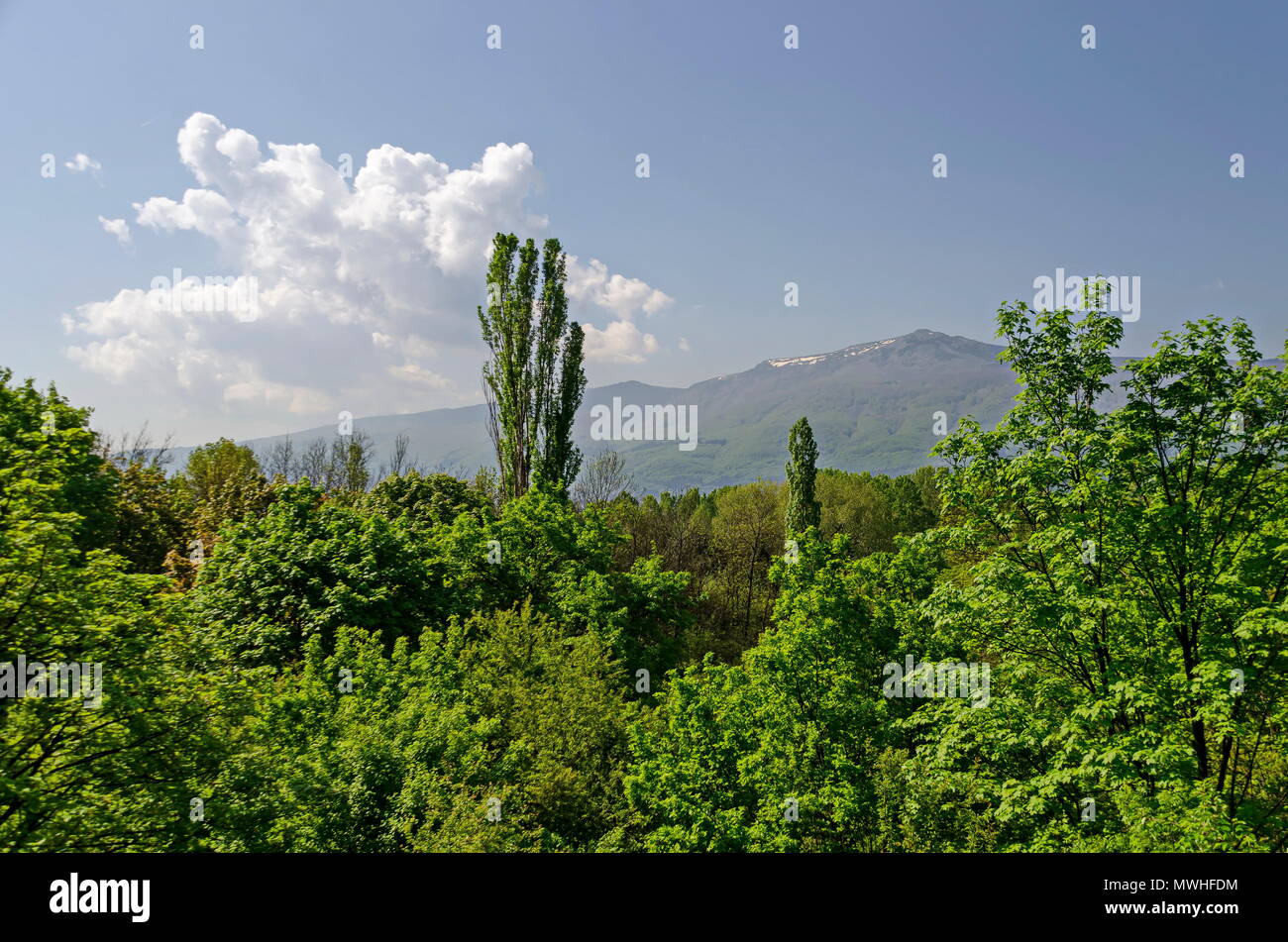 Vitosha nature park hike hi-res stock photography and images - Alamy