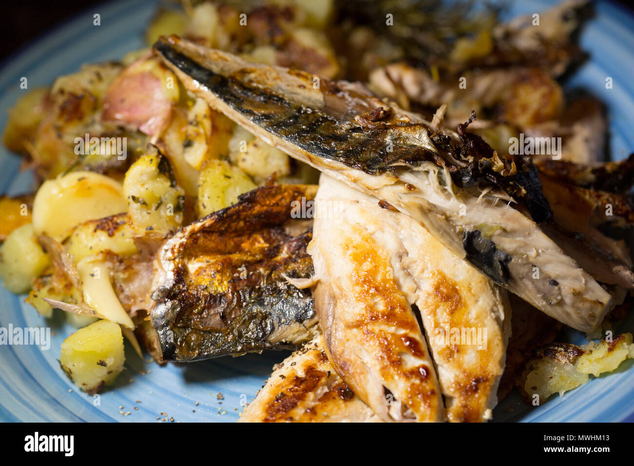 Fried mackerel fillets from mackerel, Scomber scombrus, that have been caught with rod and line beach fishing from Chesil beach in Dorset UK. They are Stock Photo