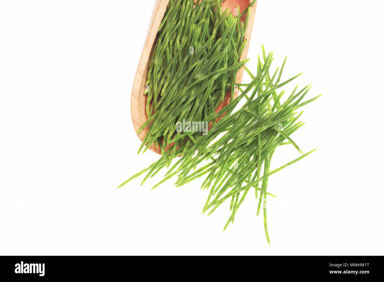 Horsetail in folk and traditional medicine 56 Horsetail in folk and traditional medicine 36